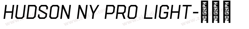 Hudson NY Pro Light字体转换